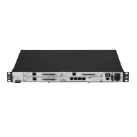 UScale IAD S196 Integrated Access Device