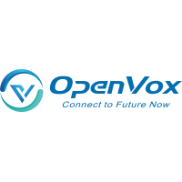 Флеш память OpenVox FM100 Флеш память OpenVox FM100