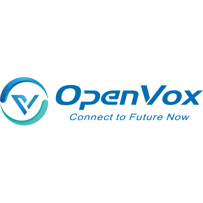 Флеш память OpenVox FM100